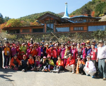 2013년도 추계 은빛나들이 이미지