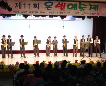 [경로증진] 제 11회 은빛예술제 이미지