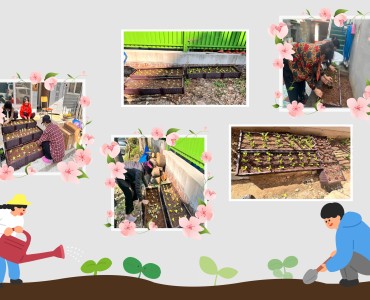 2025년 경로당활성화사업 미니텃밭 가꾸기 진행 이미지