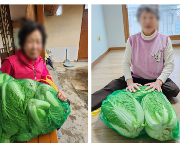 [노인맞춤돌봄서비스사업]어울림 협동조합 배추 후원 이미지
