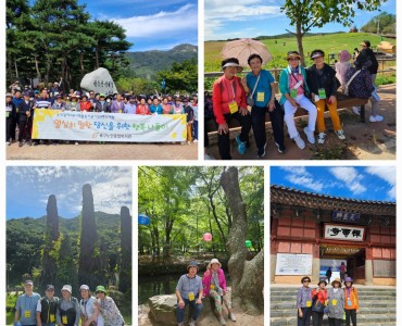 [노인일자리 및 사회활동지원사업] 2024년 하반기 문화체험 이미지