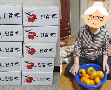 [노인맞춤돌봄서비스] 취약계층 단감 후원 전달 이미지