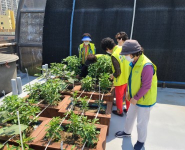 [노인자원봉사 활성화 지원사업] 선배시민 그린봉사단 2회차 봉사활동 이미지