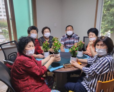 [경로당활성화사업] 나만의 반려식물 키우기 이미지