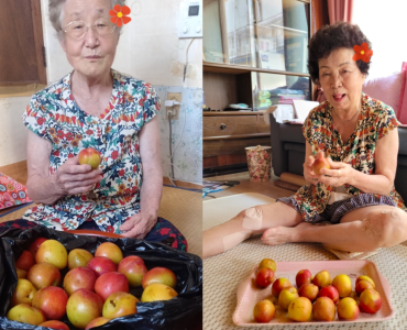 [노인맞춤돌봄서비스] 제일물산 복숭아,자두 후원 전달 이미지