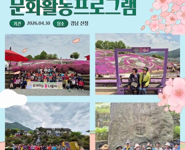 [노인맞춤돌봄서비스] 문화활동 프로그램 이미지