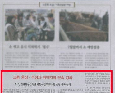 노인일자리사업(공익형) 신문보도 이미지